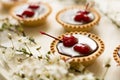 Mini tarts with chocolate and cherries decorated cherry blossom