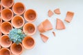 Mini terracotta broken pots with succulents on a white background.