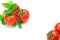 Mini-tomato and mint Royalty Free Stock Photo