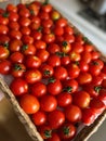 mini tomatoes on a wicker tray, fresh vegetables, harvest from the plot, healthy food