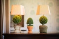 mini topiaries under soft lamp lighting