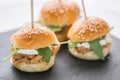 Mini tuna burgers and white cheese