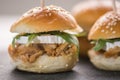 Mini tuna burgers and white cheese, the background out of focus