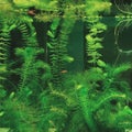 Mini underwater forest