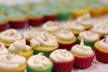 Mini vanilla cupcakes frosted and decorated for a child`s birthday party.