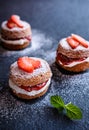 Mini Victoria sponge cakes with whipped cream and strawberries Royalty Free Stock Photo