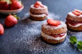 Mini Victoria sponge cakes with whipped cream and strawberries Royalty Free Stock Photo