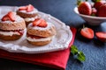 Mini Victoria sponge cakes with whipped cream and strawberries Royalty Free Stock Photo