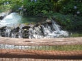 mini water fall paterson and passaic river Royalty Free Stock Photo