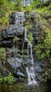 Mini waterfall in forest Royalty Free Stock Photo