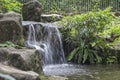 Mini waterfall natural green plant background in the . Royalty Free Stock Photo