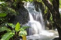 Mini waterfall natural green plant background in the Royalty Free Stock Photo