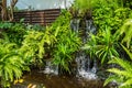 Mini waterfall. Small garden in the area of the house