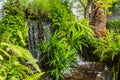 Mini waterfall. Small garden in the area of the house