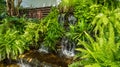 Mini waterfall. Small garden in the area of the house