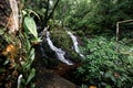 Mini waterfall of water stream from the forest