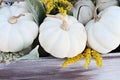 Mini White Pumpkins and Wildflowers