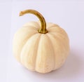 Mini white squash Royalty Free Stock Photo