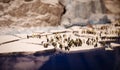 Miniatur Wunderland Hamburg in Germany, arctic penguins on an ice floe, museum with miniature model construction of the world