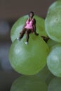 Miniature of a black woman sitting on the grapes