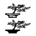 Bonsai pine tree in a pot black vector silhouette Royalty Free Stock Photo