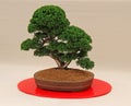 Miniature Bonsai Tree.