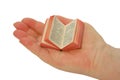 A miniature book on the palm Royalty Free Stock Photo