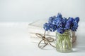 A miniature bouquet of muscari flowers in a transparent vase copy space Royalty Free Stock Photo