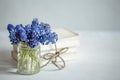 A miniature bouquet of muscari flowers in a transparent vase copy space Royalty Free Stock Photo