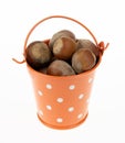 The miniature bucket with hazelnuts