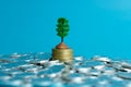 Miniature business concept - financial investment, growing money tree on coin stack on blue background Royalty Free Stock Photo