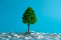 Miniature business concept - financial investment, growing money tree on coin stack on blue background Royalty Free Stock Photo