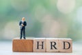 Miniature businessman standing on wooden block word HRD Human resource development : HRD