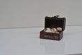 Miniature chest with sea shells. Brazil, South America Royalty Free Stock Photo