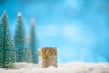 Miniature Christmas gift in the snow. Blue light background