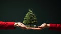 Miniature Christmas tree in hands Royalty Free Stock Photo