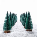 Miniature Christmas Trees Arranged in Rows on Artificial Snow Against White Backdrop Royalty Free Stock Photo