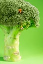 Miniature climber is lifting up another climber on a broccoli where the workout and train