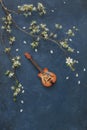 A miniature copy of a guitar and flowering cherry branches on a classic blue background, top view Royalty Free Stock Photo