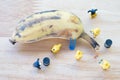 Miniature crime scene investigator with rotten bananas Royalty Free Stock Photo