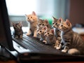 Miniature cute cats and computer, generative ai Royalty Free Stock Photo