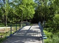 A miniature, decorative bridge over a stream.