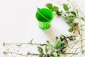 Miniature decorative garden bucket on a background with green plants.