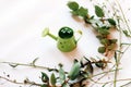 Miniature decorative garden watering can on a background with green plants.