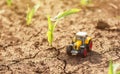 Miniature die cast tractor model toy in corn sprout field Royalty Free Stock Photo