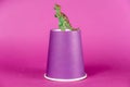 A miniature dinosaur and a paper cup against a purple background. A lilac disposable drink glass. Green figure of a predatory