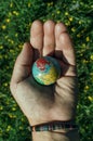 The miniature earth held in the palm of a man. Caring for the planet- concept Royalty Free Stock Photo