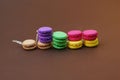 Miniature Fake Macaroons on Brown Background. Earrings made from Polymer Clay. Plastic dummies. Symbol of French Sweets Dessert. C Royalty Free Stock Photo