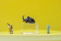 Miniature family visits a museum exhibition with Rhino Beetle Royalty Free Stock Photo