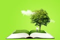 Miniature figure character as people standing below green tree on opened book and reading a book. Royalty Free Stock Photo
